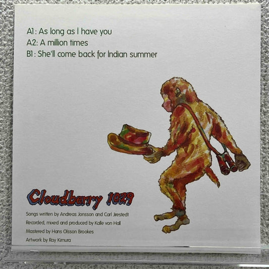 Alpaca Sports - As Long As I Have You - preppy records