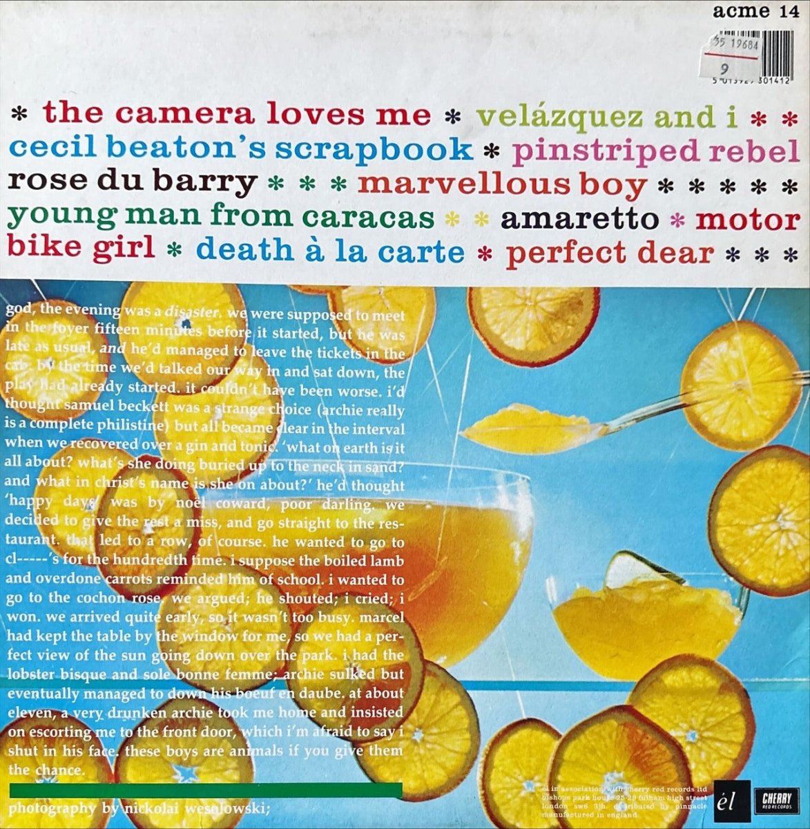 Would - Be - Goods - The Camera Loves Me - preppy records