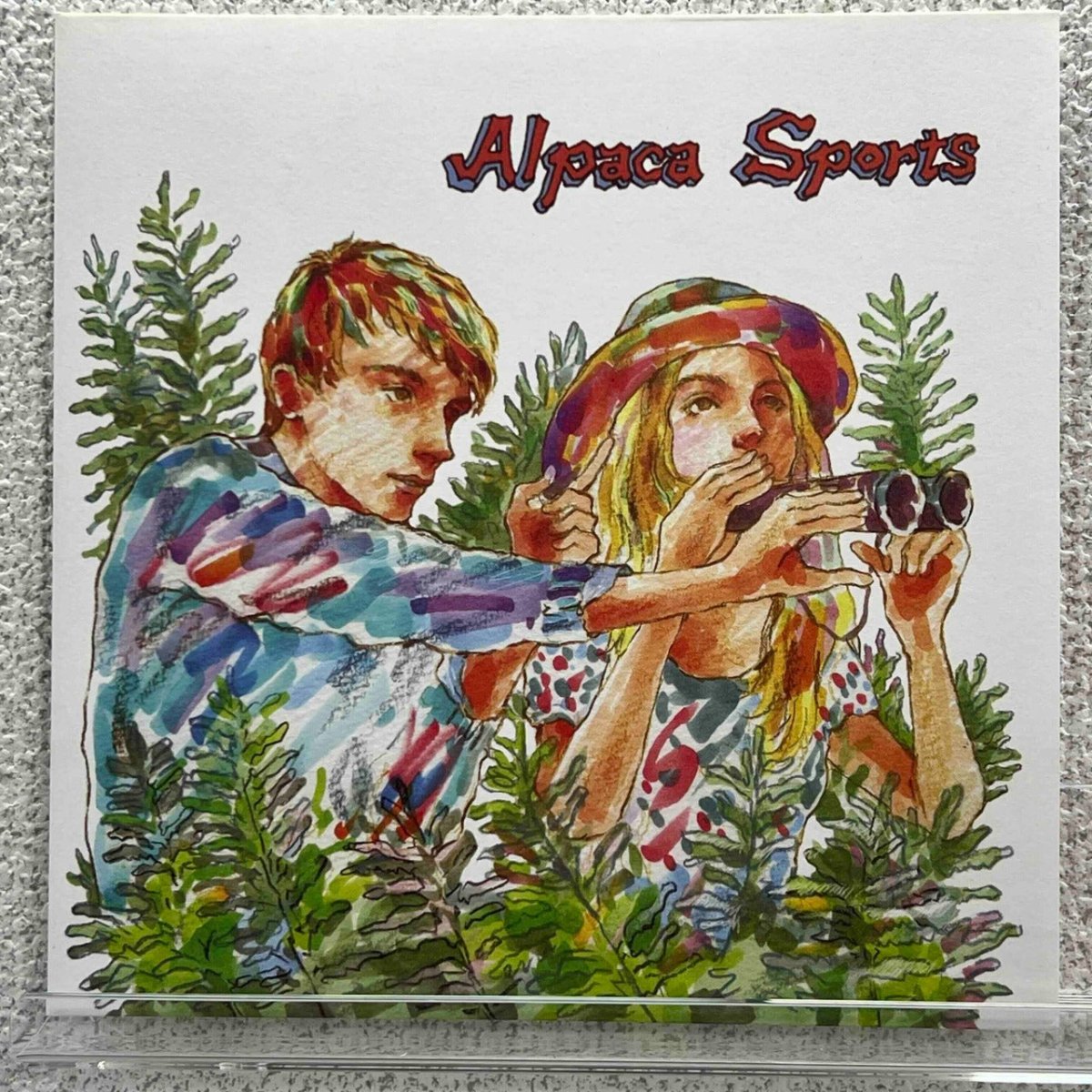Alpaca Sports - As Long As I Have You - preppy records