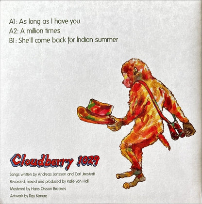 Alpaca Sports - As Long As I Have You - preppy records