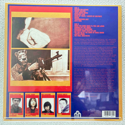 Comet Gain - Tigertown Pictures - preppy records