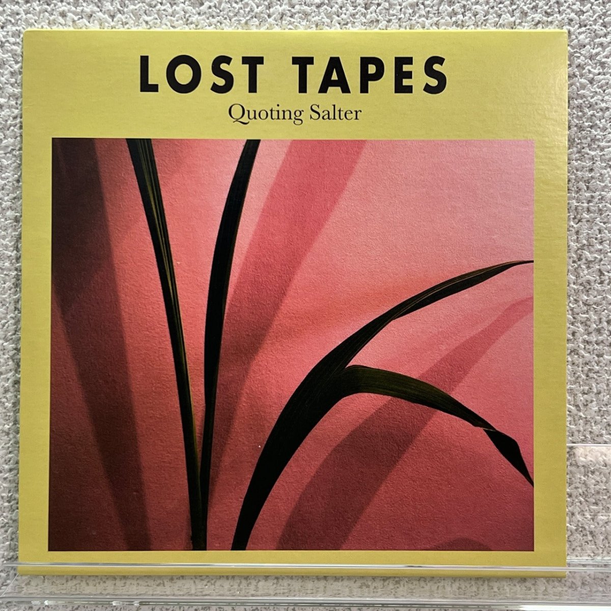 Lost Tapes - Quoting Salter - preppy records
