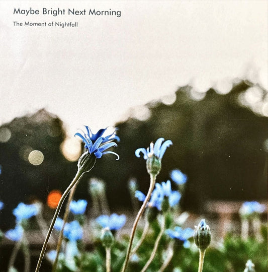 Moment of Nightfall - Maybe Bright Next Morning - preppy records