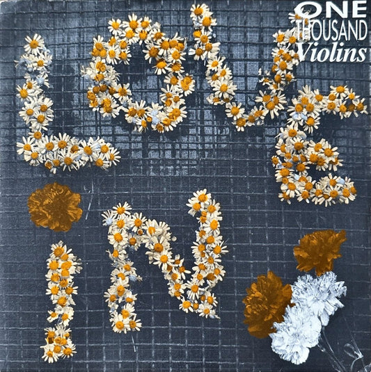 One Thousand Violins - Locked Out Of The Love - In - preppy records