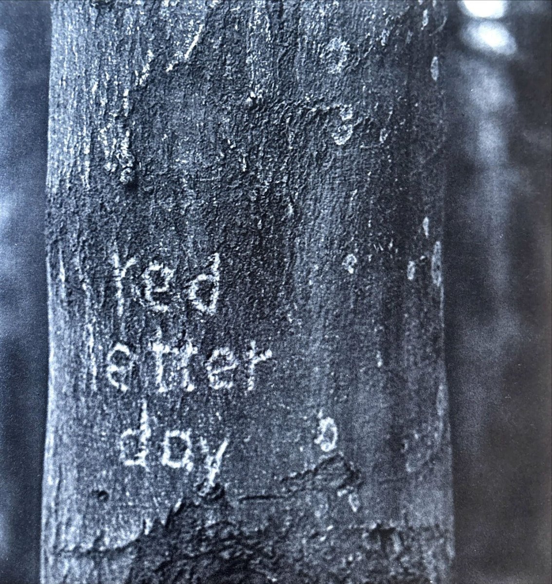 Red Letter Day – Red Letter Day - preppy records
