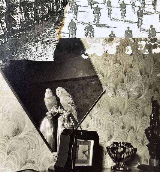 Swell Maps - Mayday Signals - preppy records