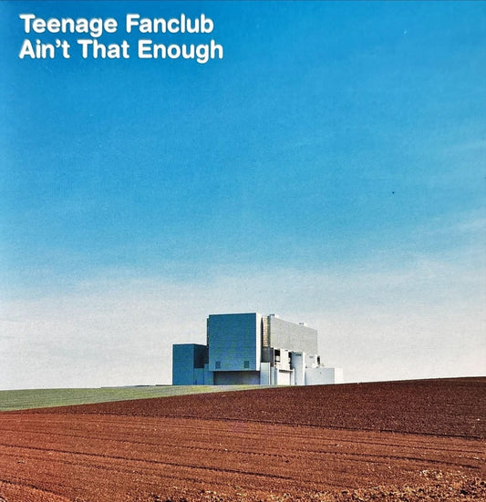 Teenage Fanclub - Ain't That Enough - preppy records