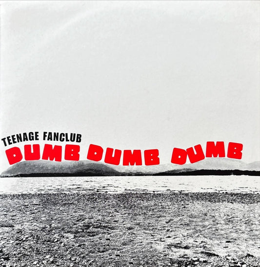 Teenage Fanclub - Dumb Dumb Dumb - preppy records