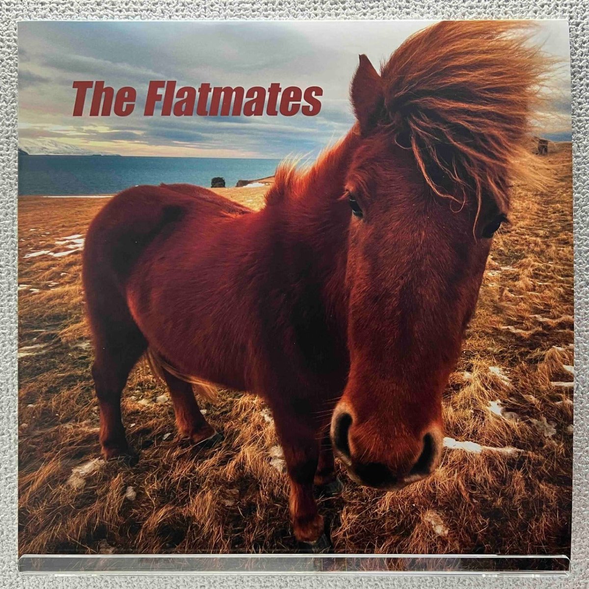 The Flatmates - The Flatmates - preppy records