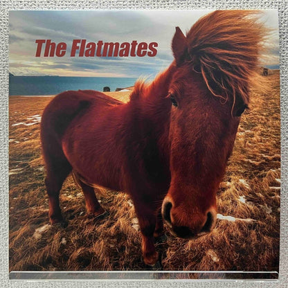 The Flatmates - The Flatmates - preppy records
