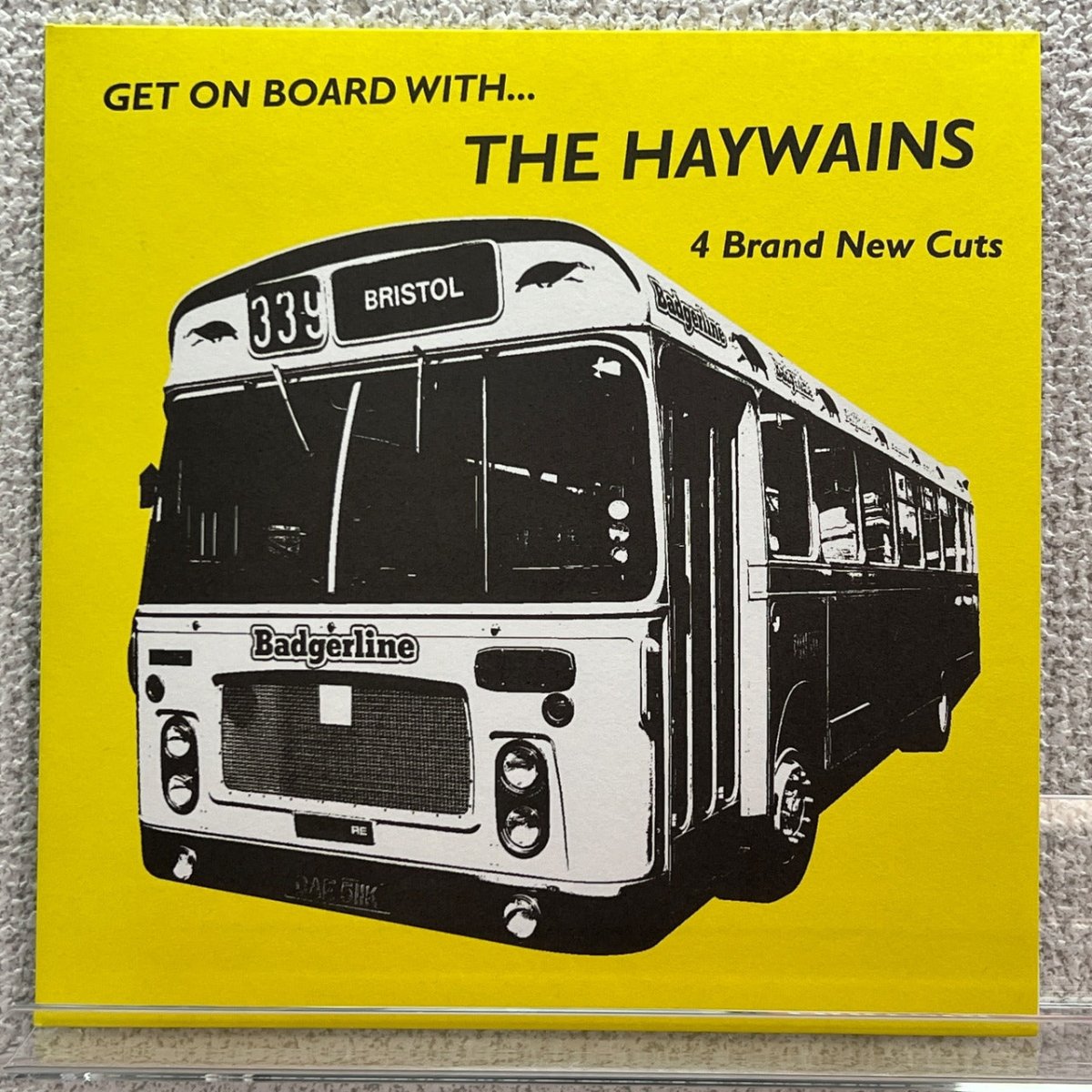 The Haywains - Get On Board With The Haywains - preppy records