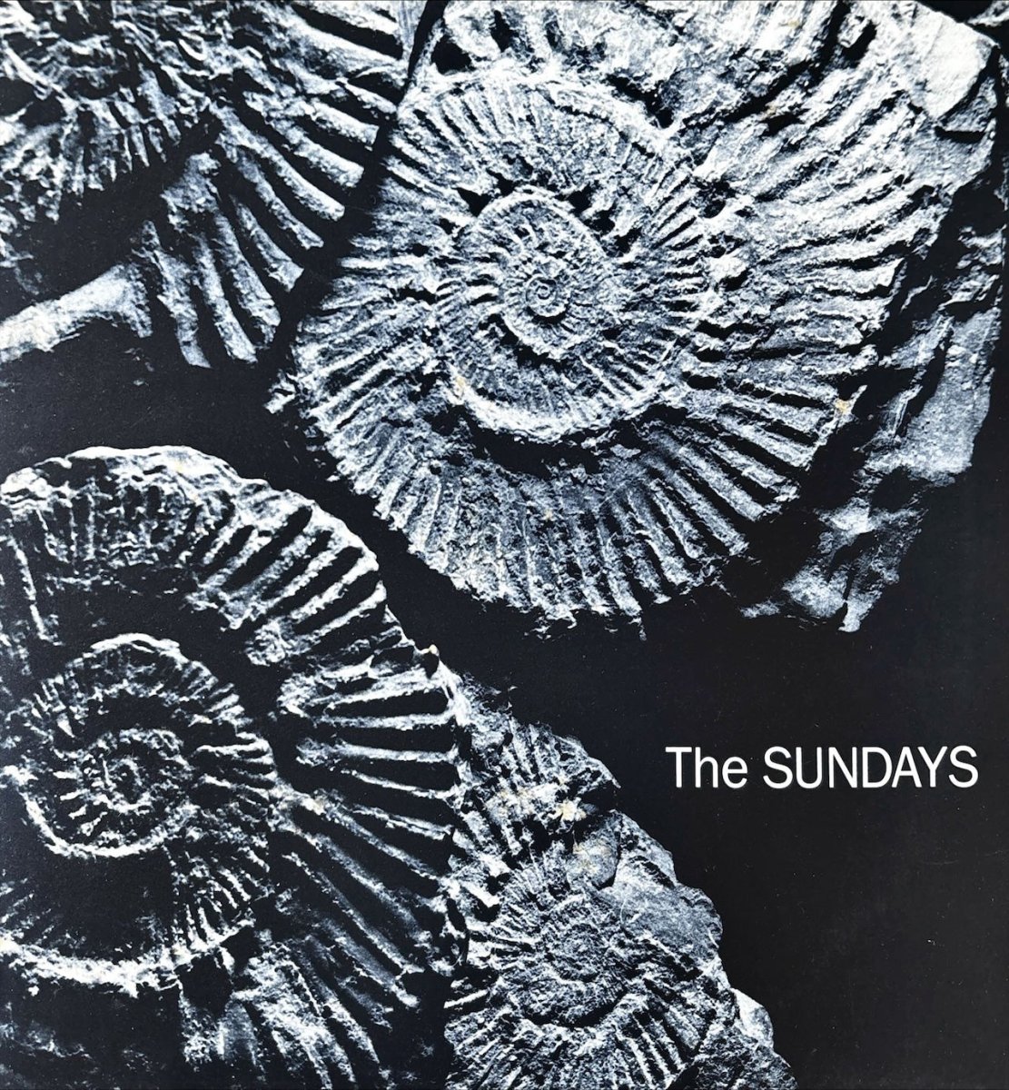 The Sundays - Reading,Writing And Arithmetic - preppy records