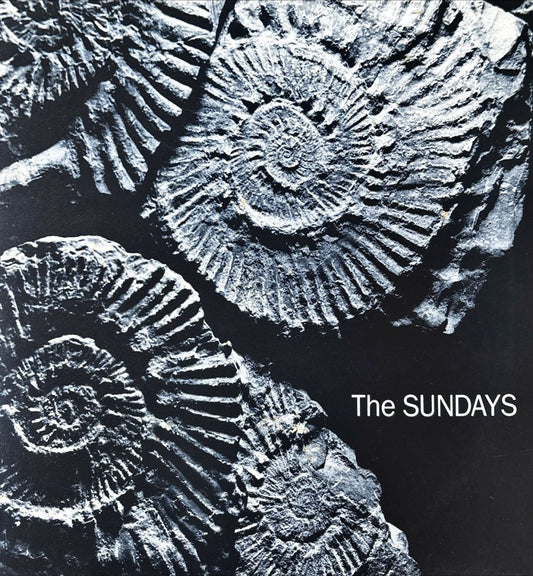 The Sundays - Reading,Writing And Arithmetic - preppy records