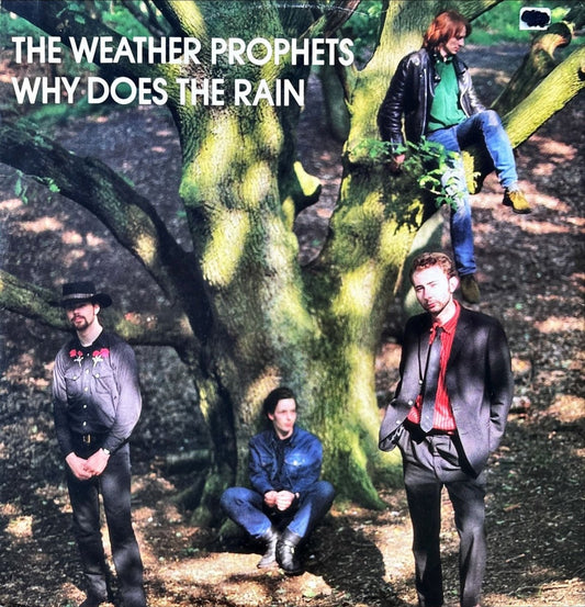 The Weather Prophets - Why Does The Rain - preppy records