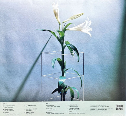 Various - Clear Cut 5 - preppy records