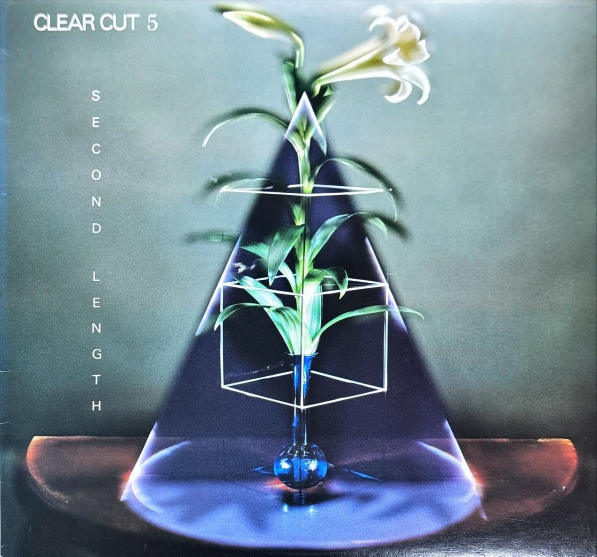 Various - Clear Cut 5 - preppy records